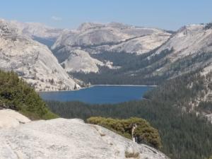 Scintillating California !! Yosemite National Park